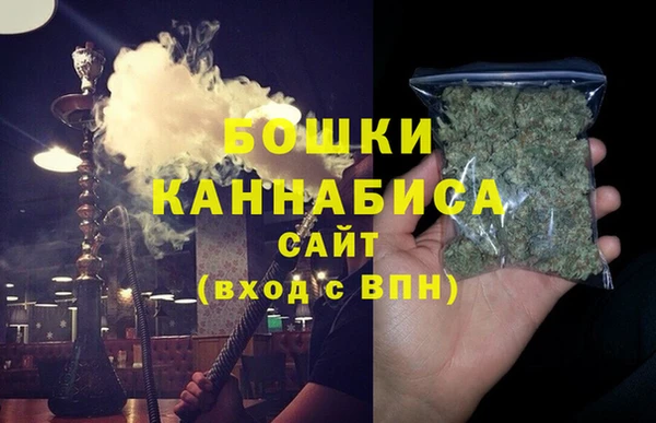 PSILOCYBIN Балабаново