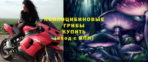 PSILOCYBIN Балабаново