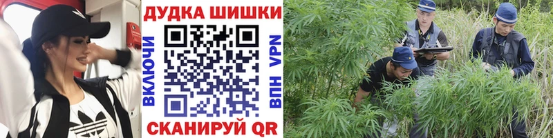 купить закладку  Пролетарск  Шишки марихуана план 